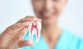 Endodontics