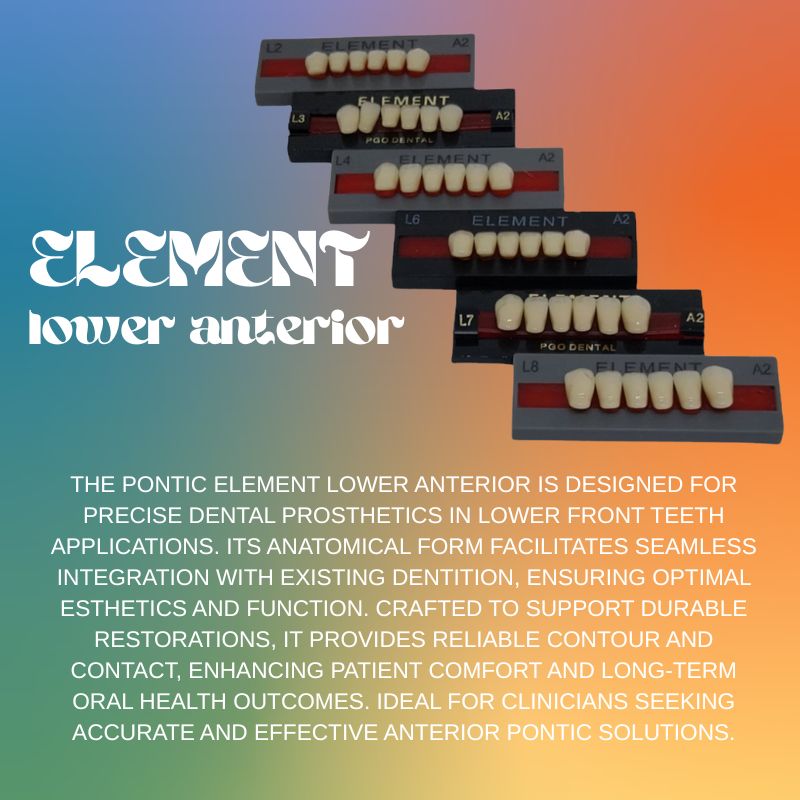 Pontic Element Lower Anterior