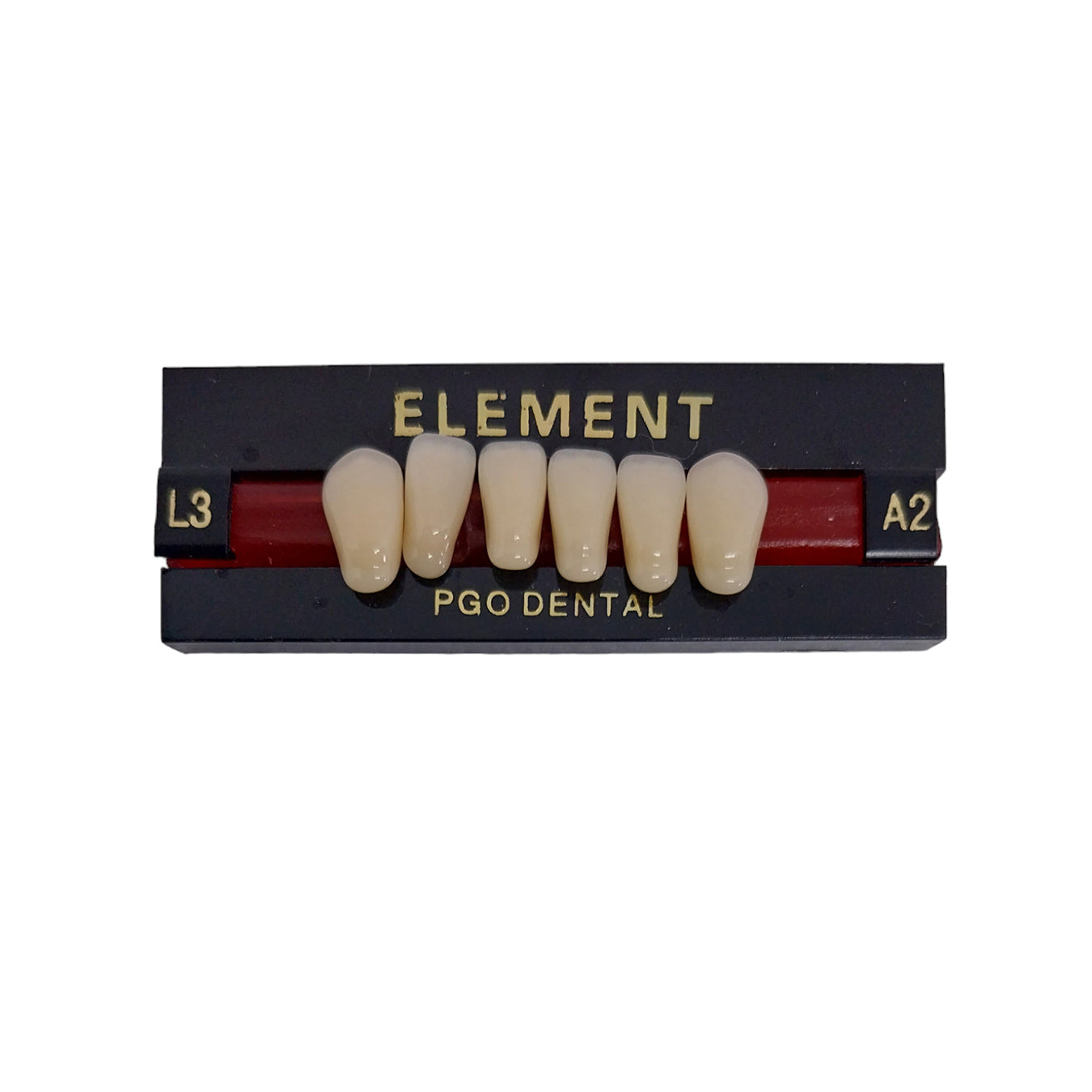 Pontic Element Lower Anterior