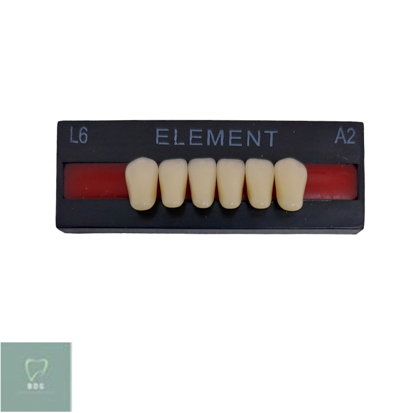 Pontic Element Lower Anterior