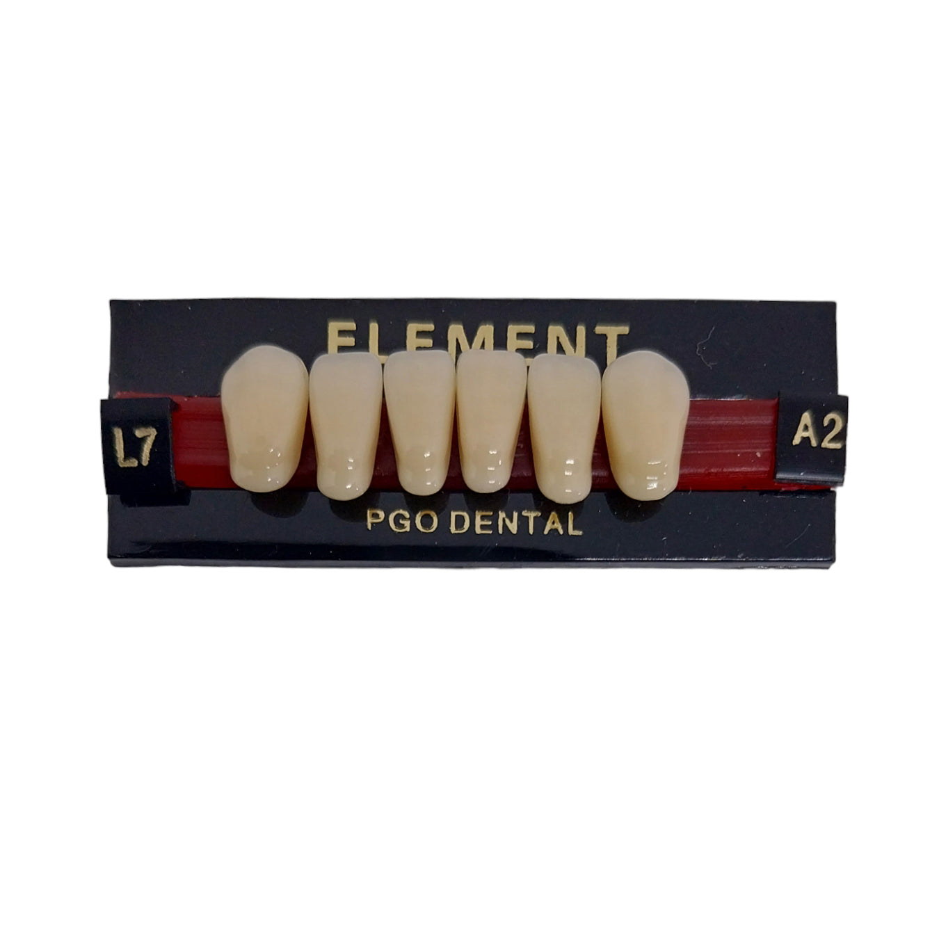 Pontic Element Lower Anterior