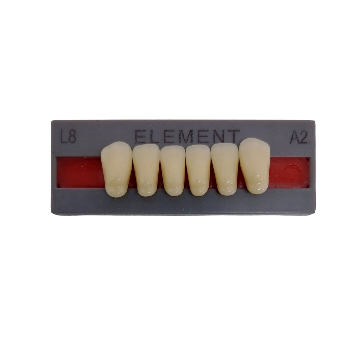 Pontic Element Lower Anterior