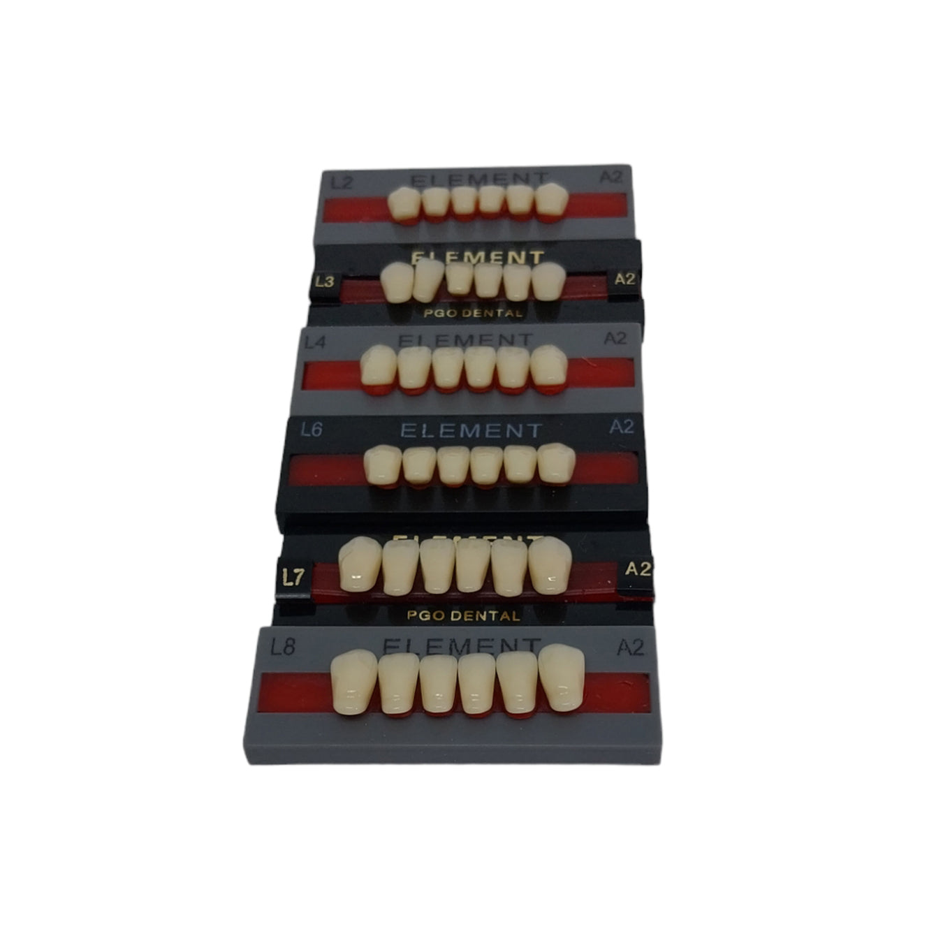 Pontic Element Lower Anterior