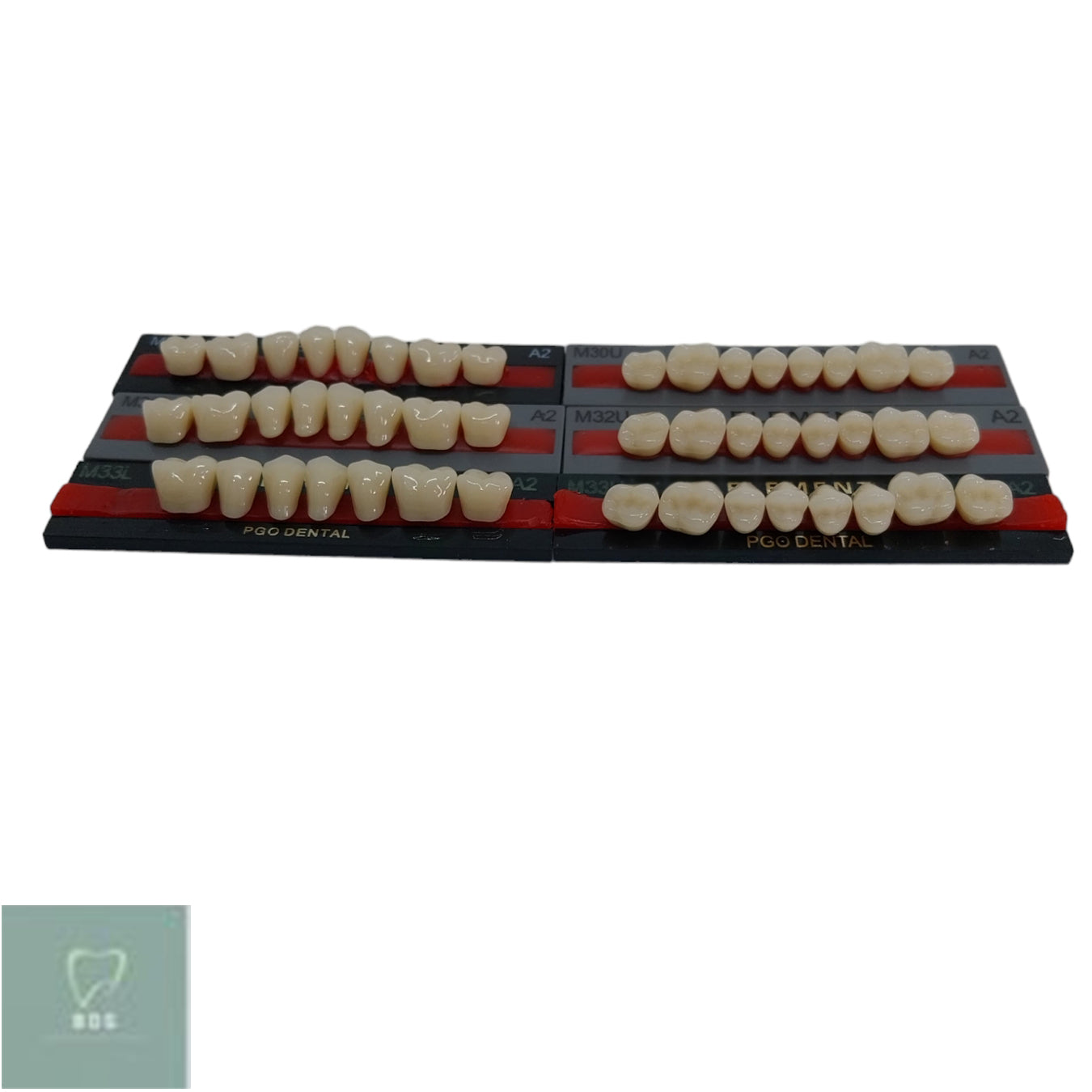 Poctic Element Posterior