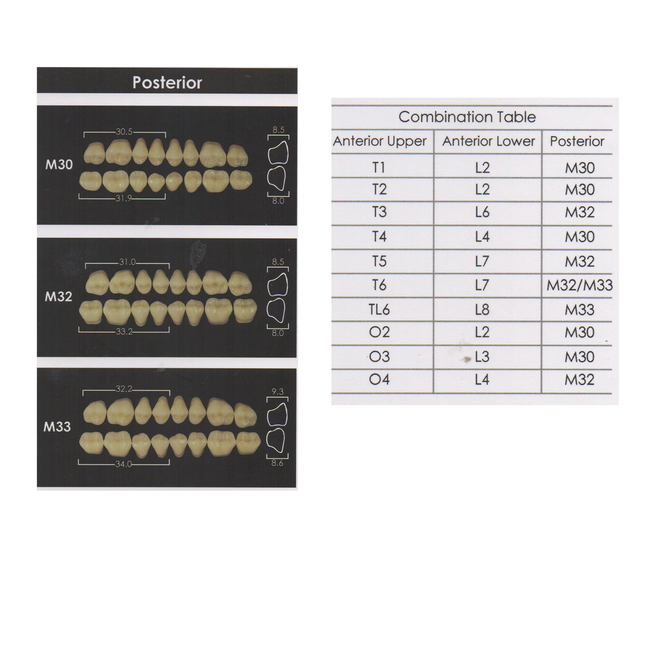 Poctic Element Posterior