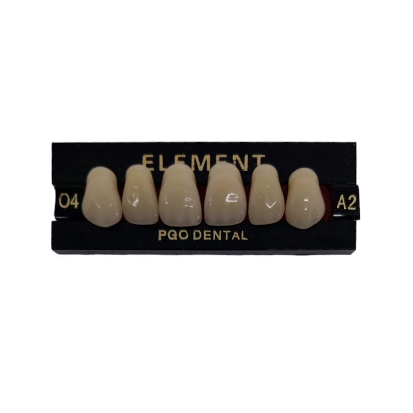 Pontic Element Upper Anterior