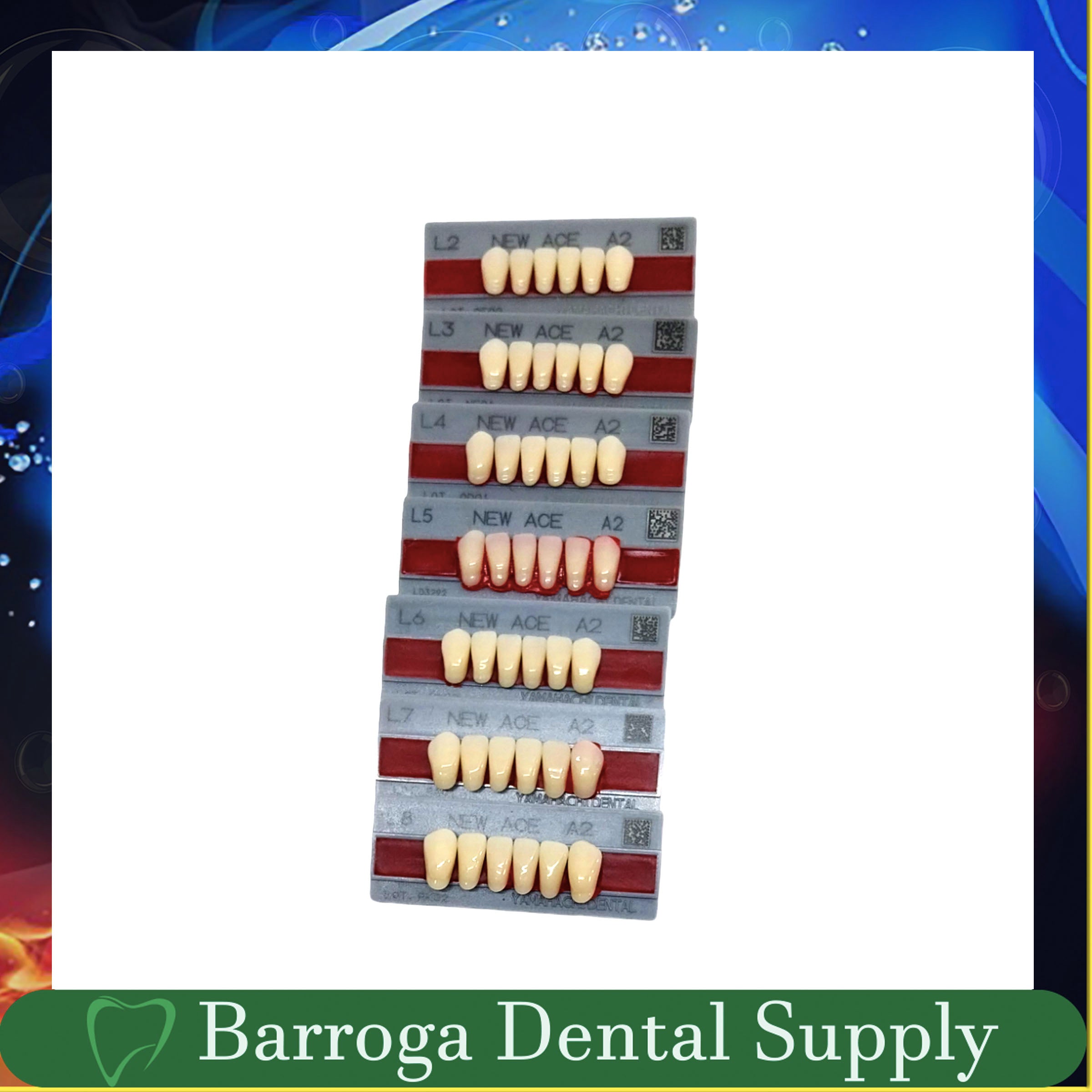 New Ace Pontic Lower Anterior