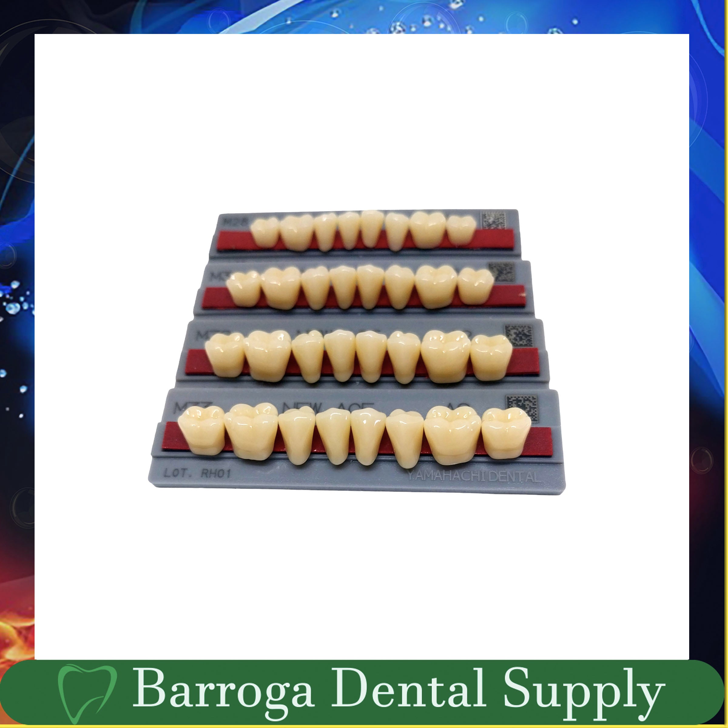 New Ace Pontic Posterior