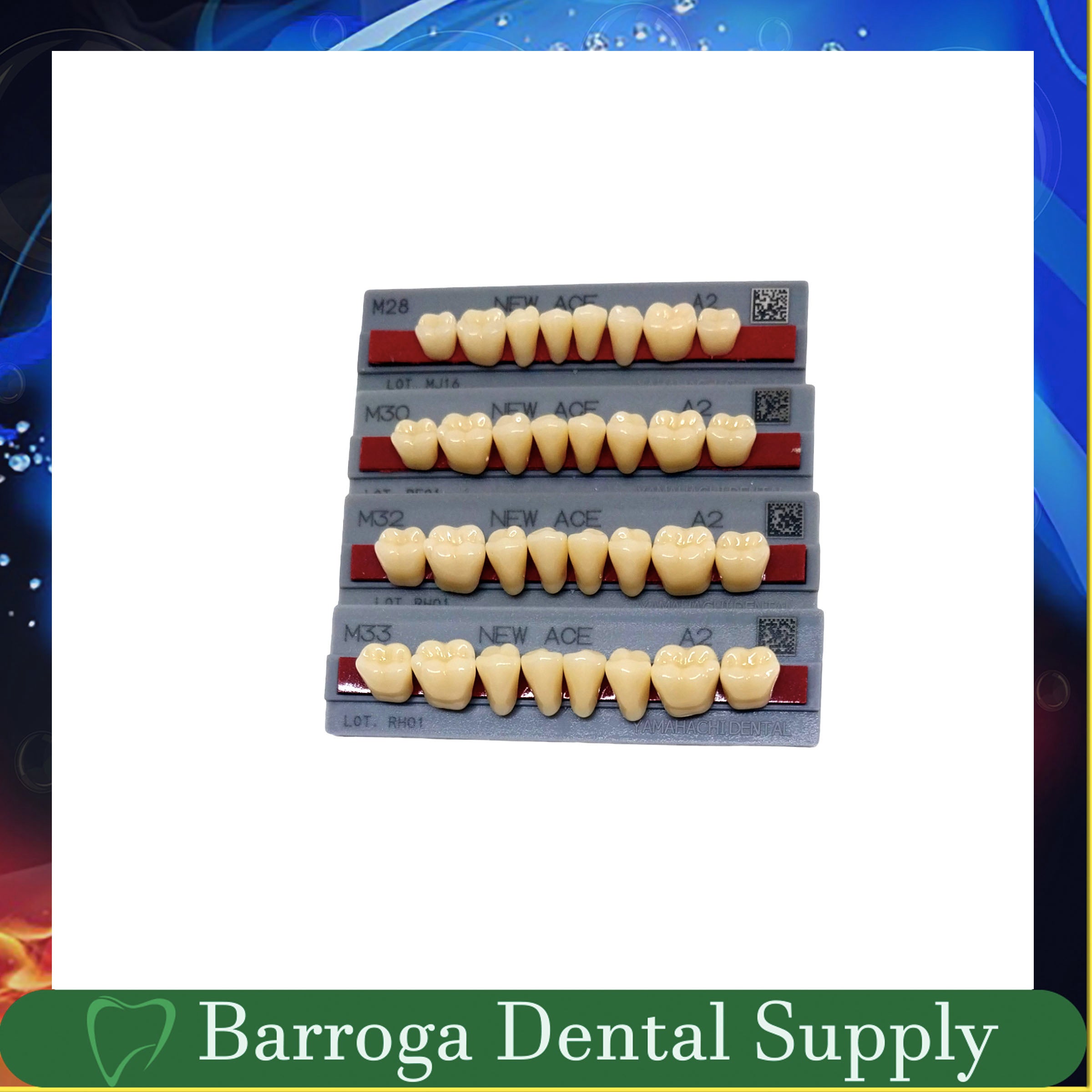 New Ace Pontic Posterior