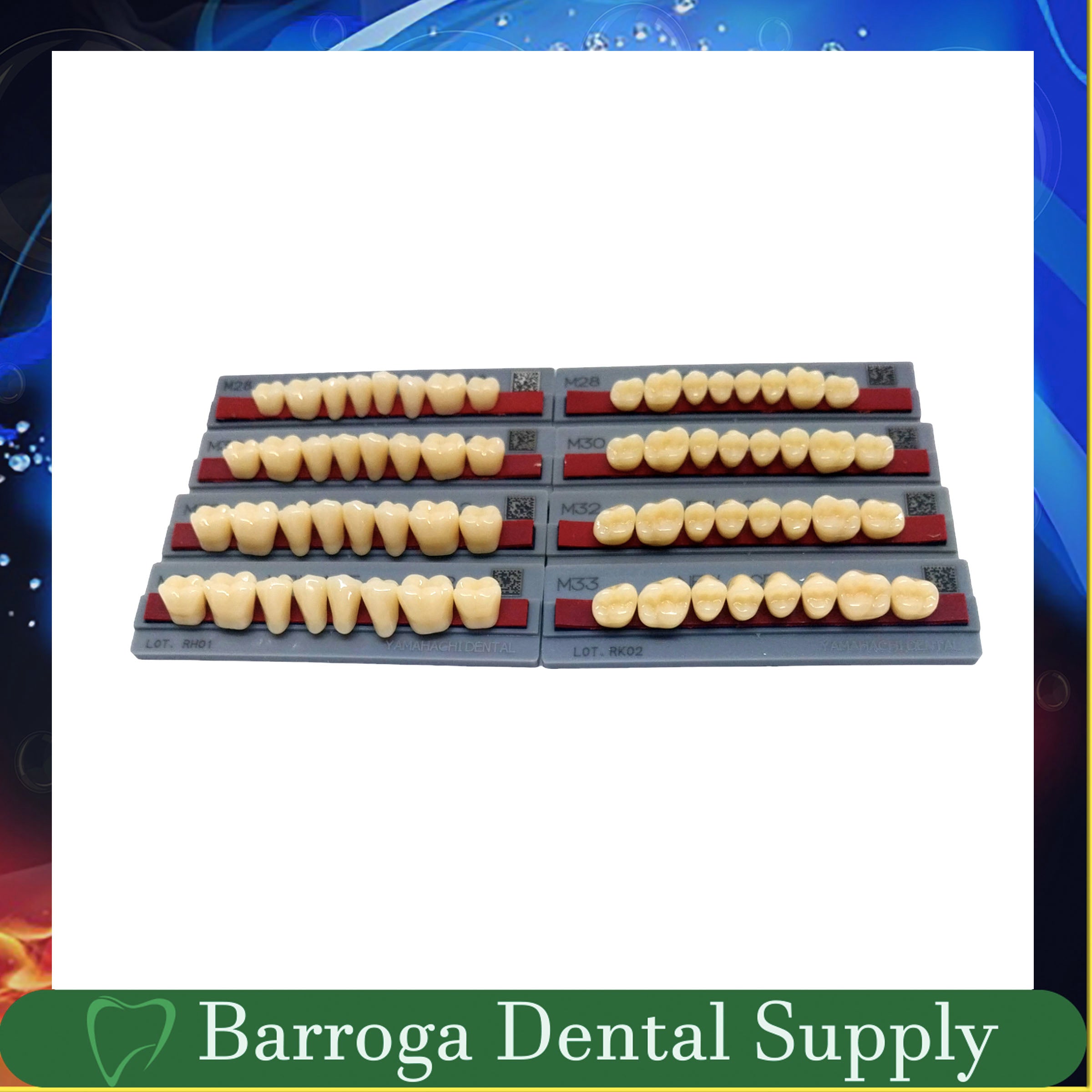 New Ace Pontic Posterior