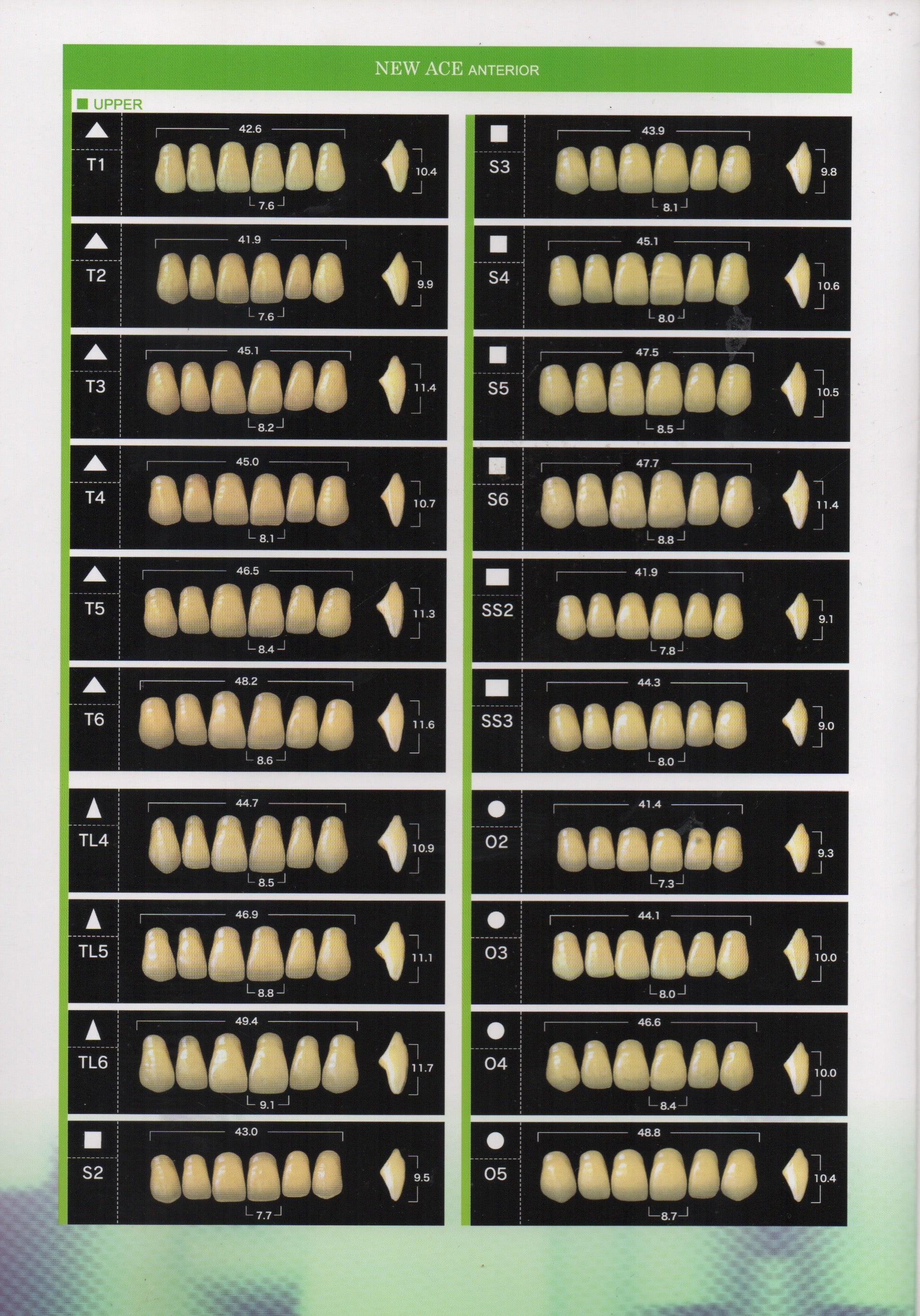 New Ace Pontic Upper Anterior