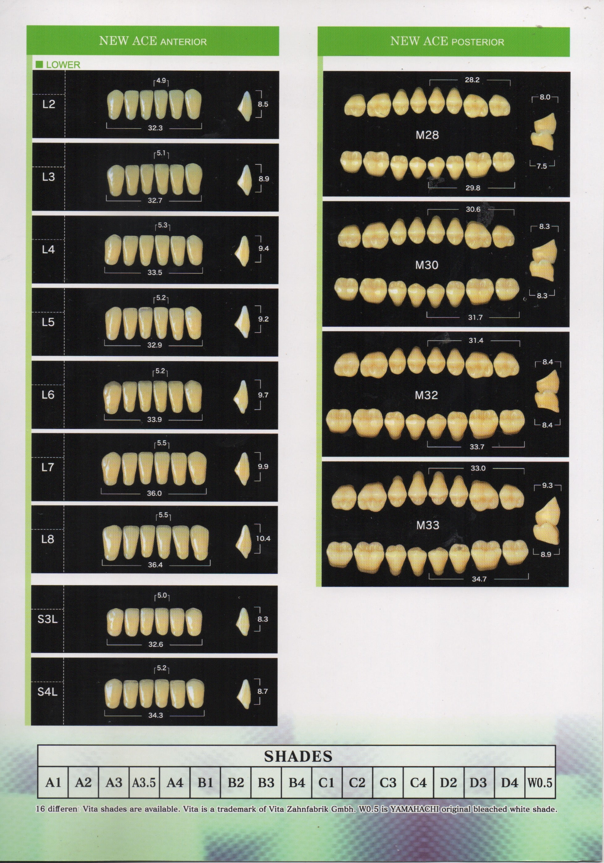 New Ace Pontic Lower Anterior