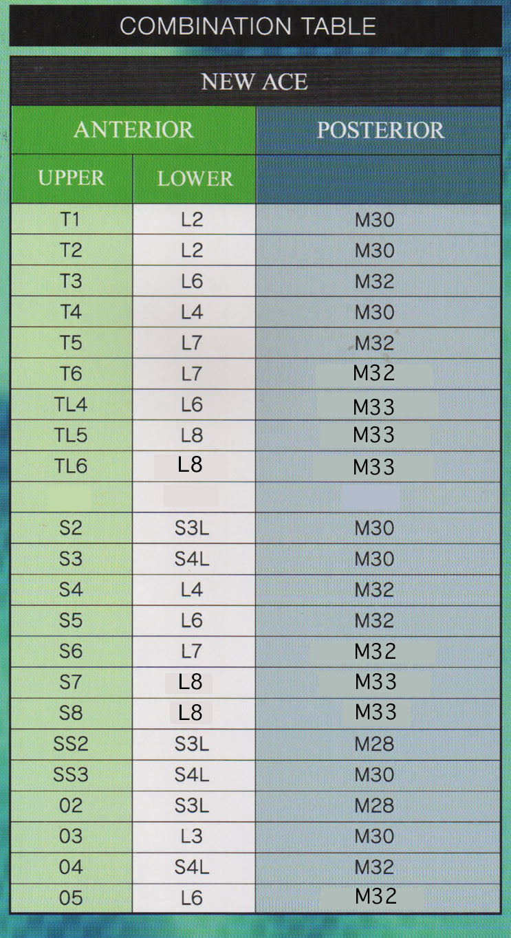 New Ace Pontic Upper Anterior