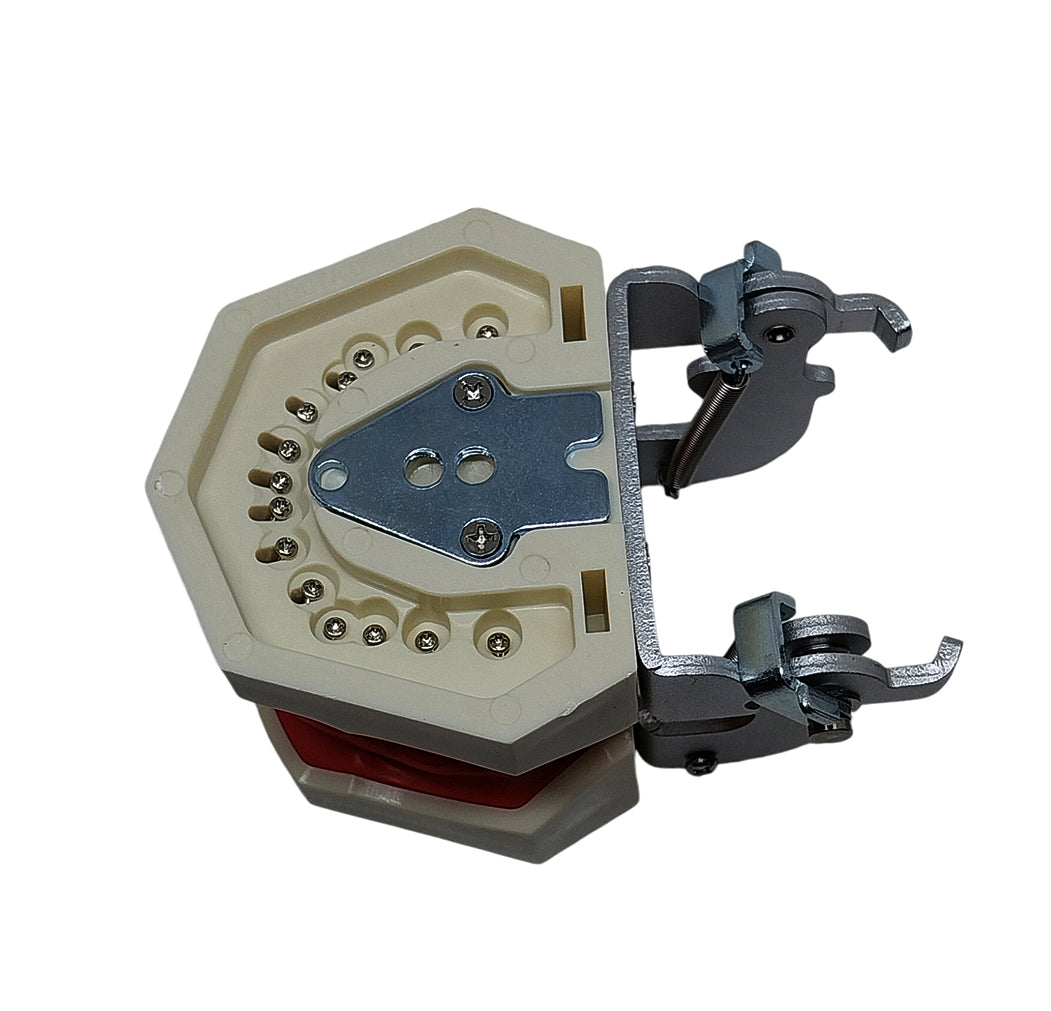 Compatible Nissin Typodont Dental Model