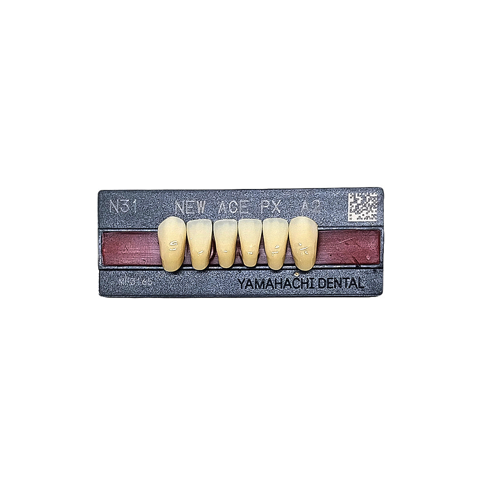 Pontic New Ace PX Lower Anterior