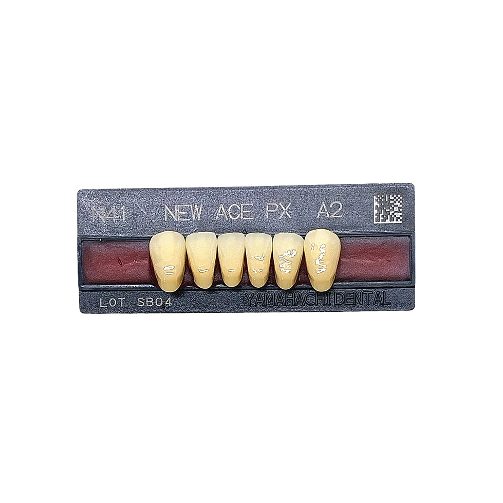 Pontic New Ace PX Lower Anterior