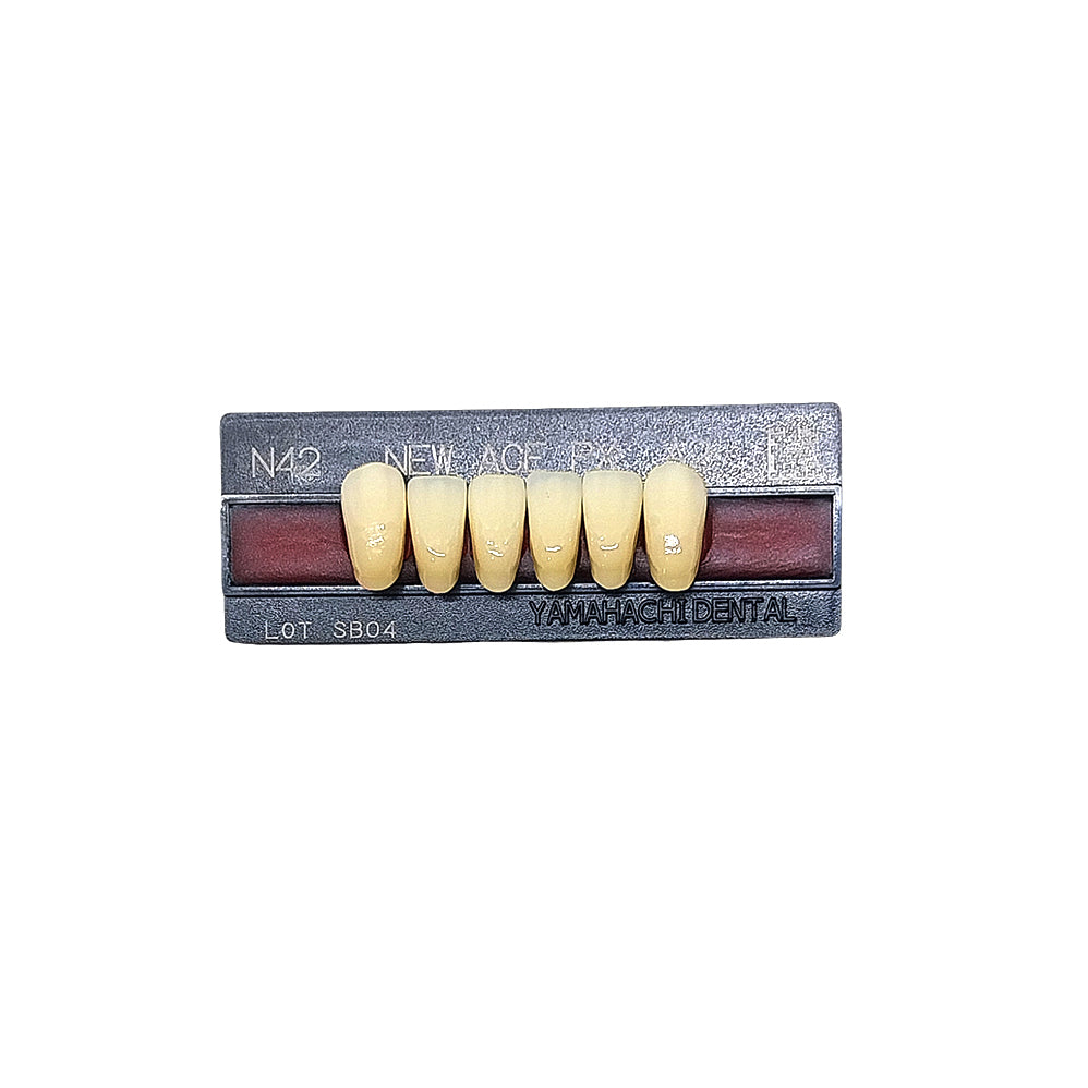 Pontic New Ace PX Lower Anterior