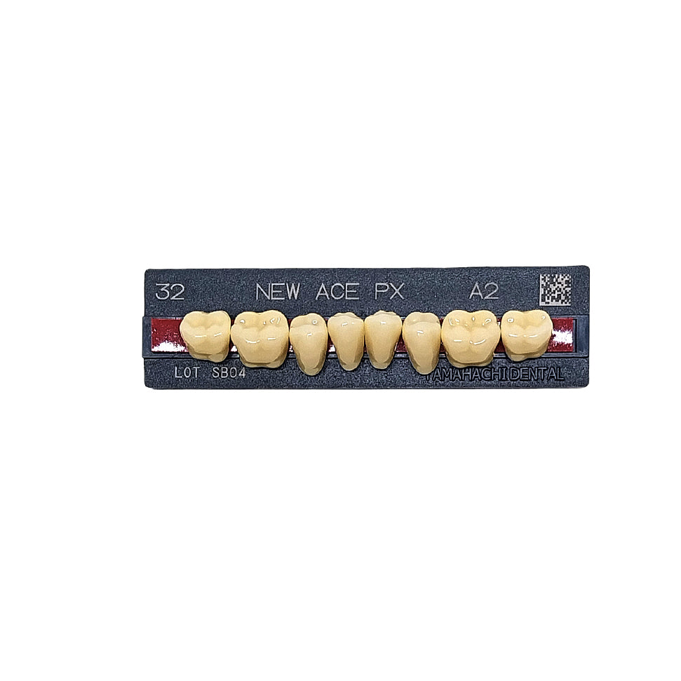 Pontic New Ace PX Lower Posterior