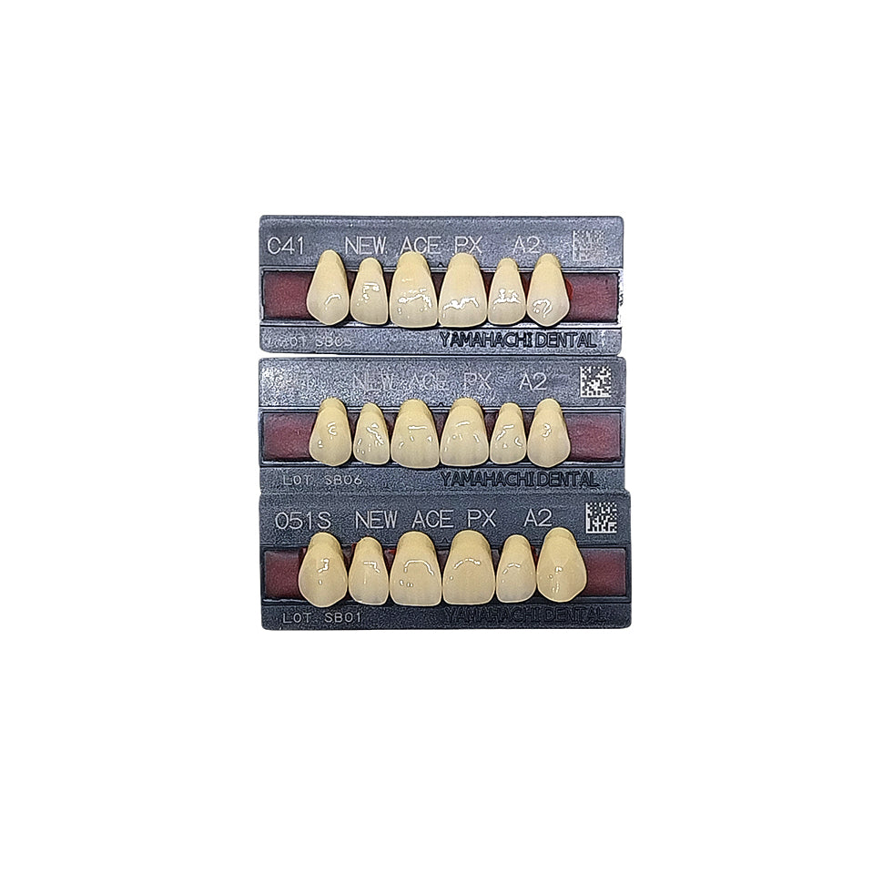 Pontic New Ace PX Upper Anterior