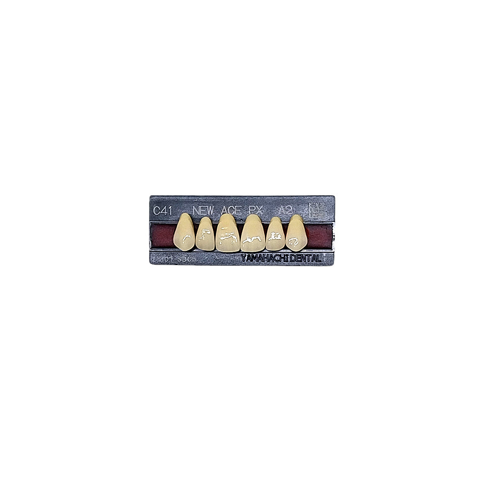 Pontic New Ace PX Upper Anterior