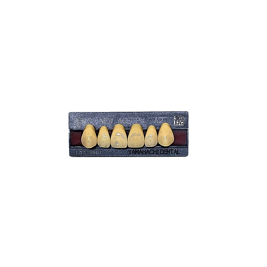 Pontic New Ace PX Upper Anterior
