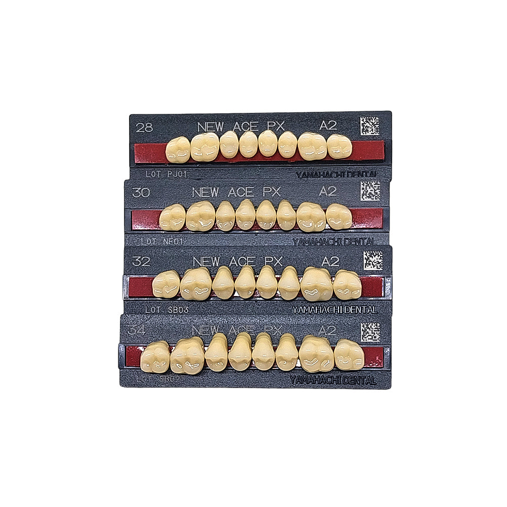 Pontic New Ace PX Upper Posterior