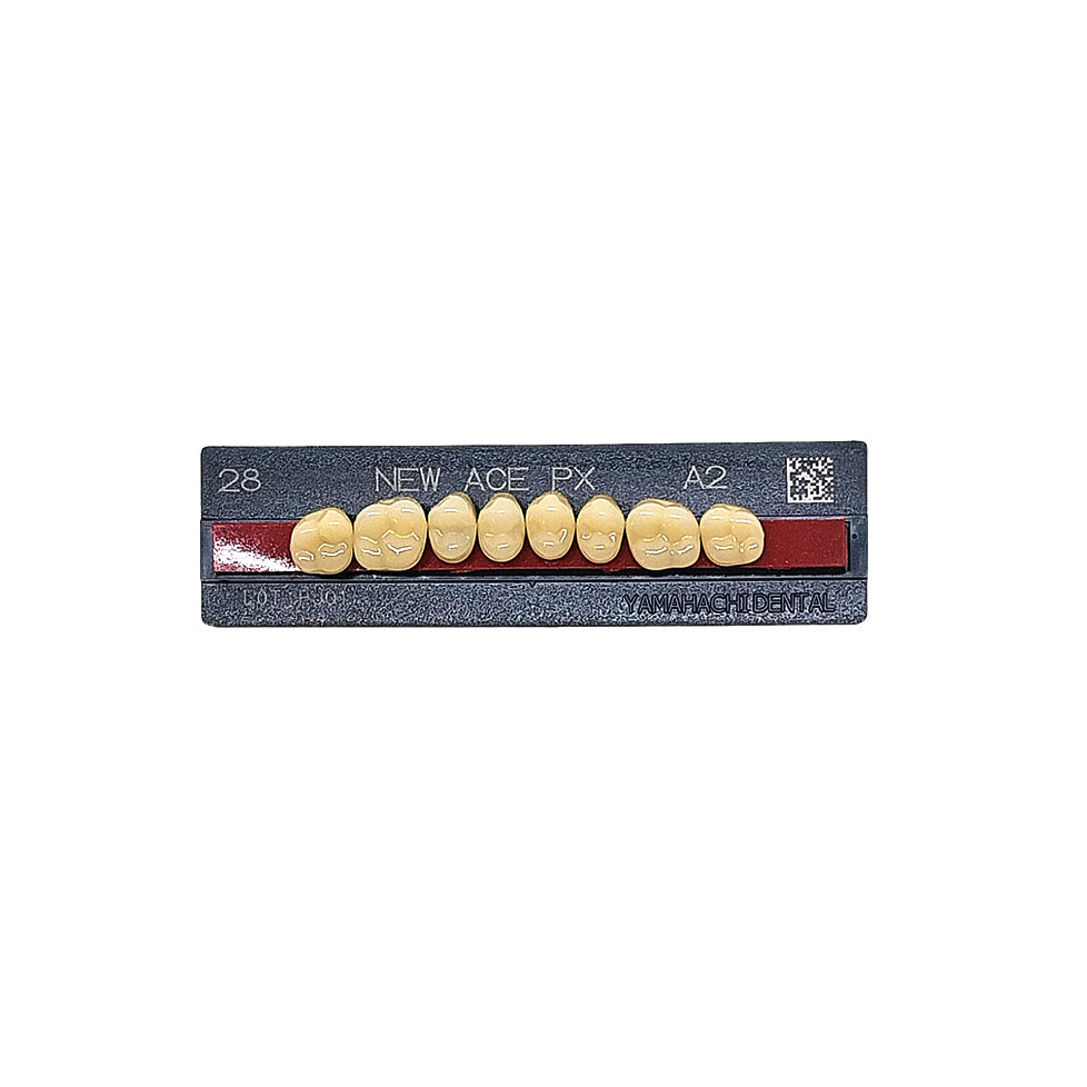Pontic New Ace PX Upper Posterior