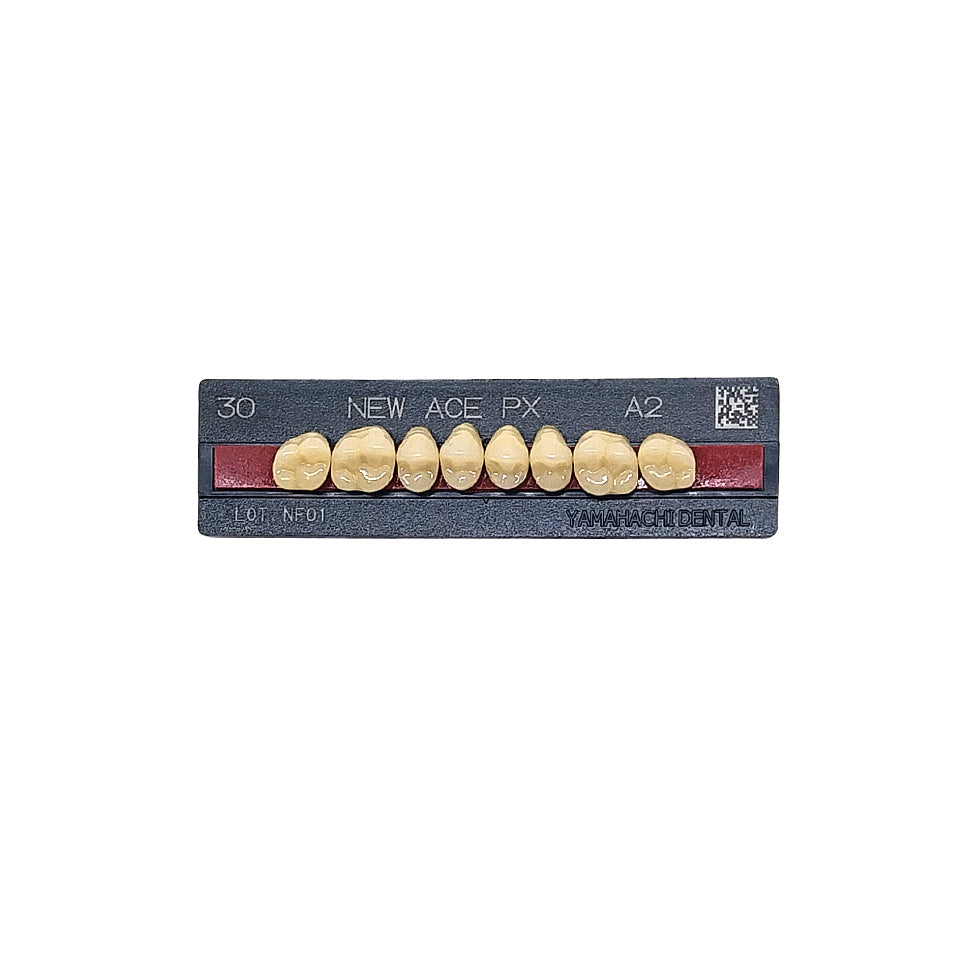 Pontic New Ace PX Upper Posterior