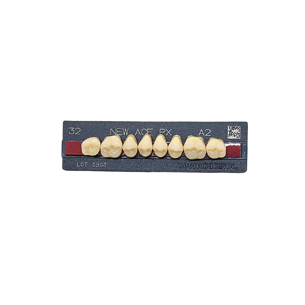 Pontic New Ace PX Upper Posterior