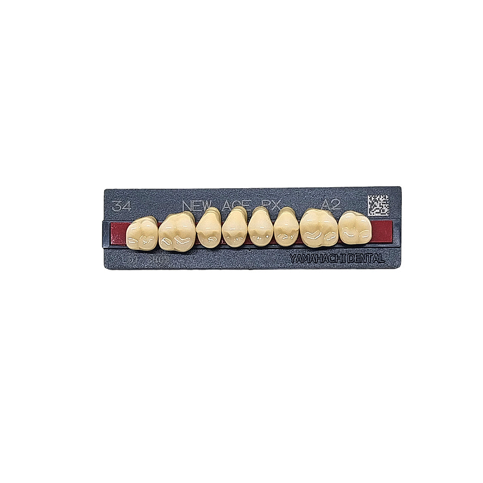 Pontic New Ace PX Upper Posterior