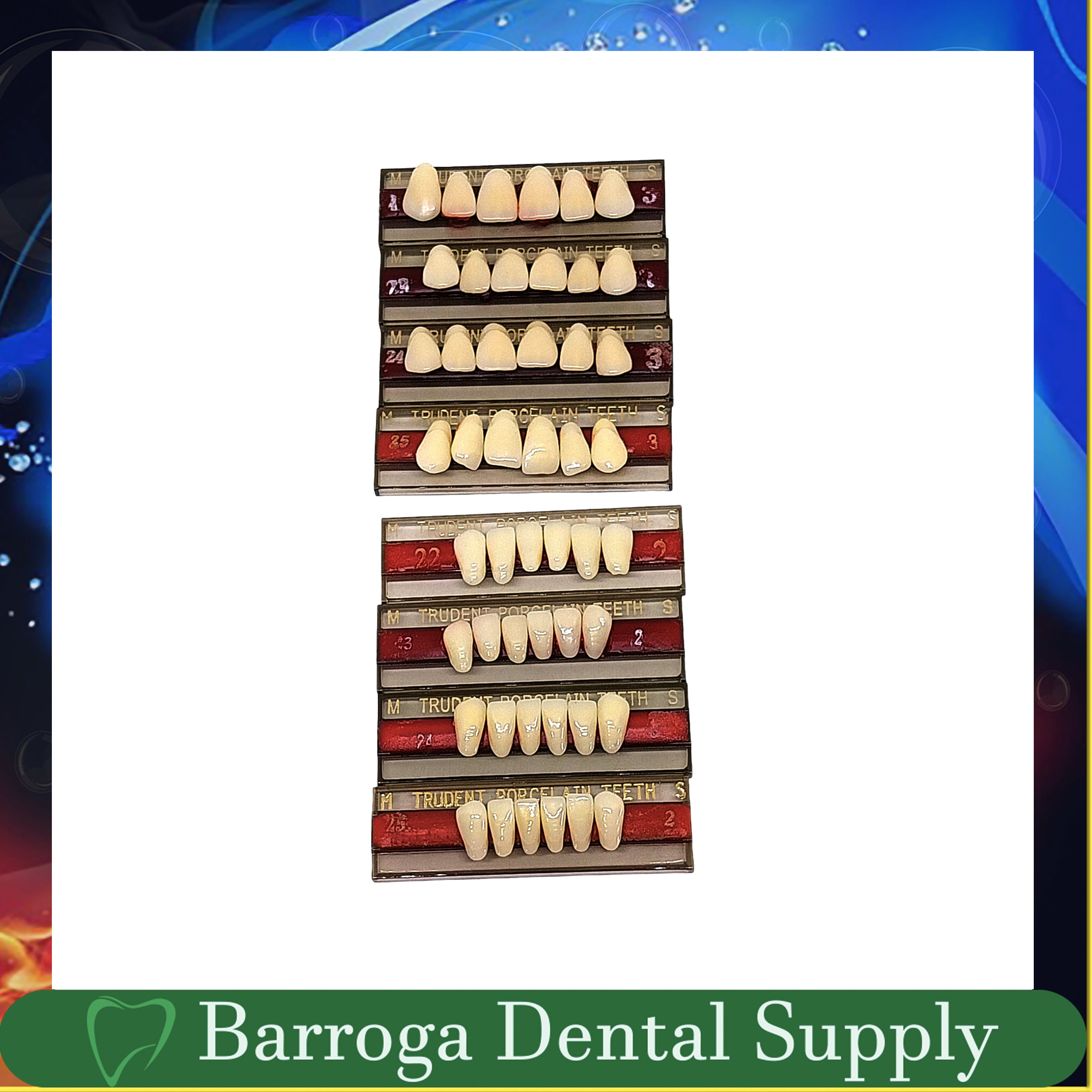 Trudent Anterior Pontic 1 x 6