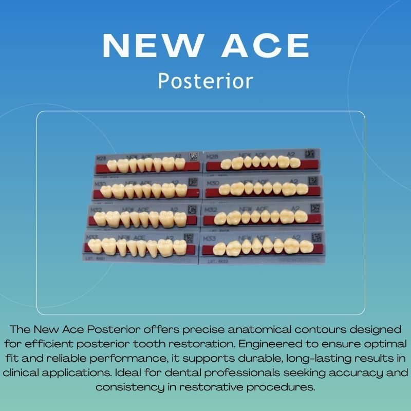 New Ace Pontic Posterior