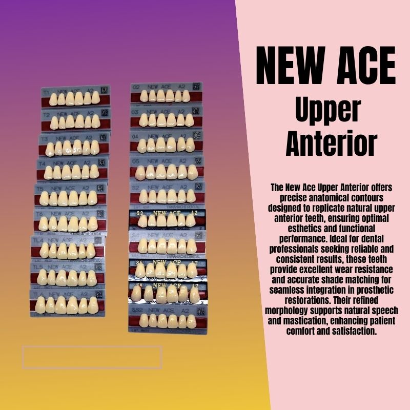 New Ace Pontic Upper Anterior