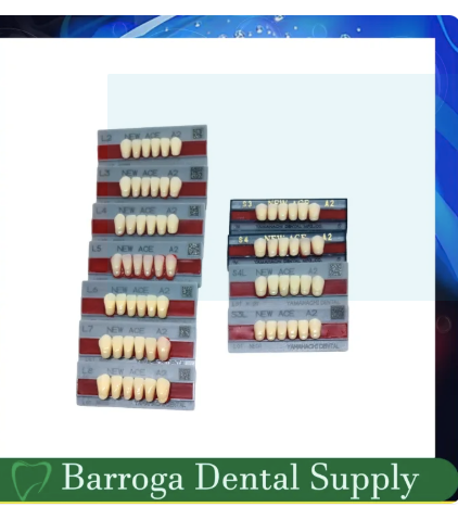 New Ace Pontic Lower Anterior