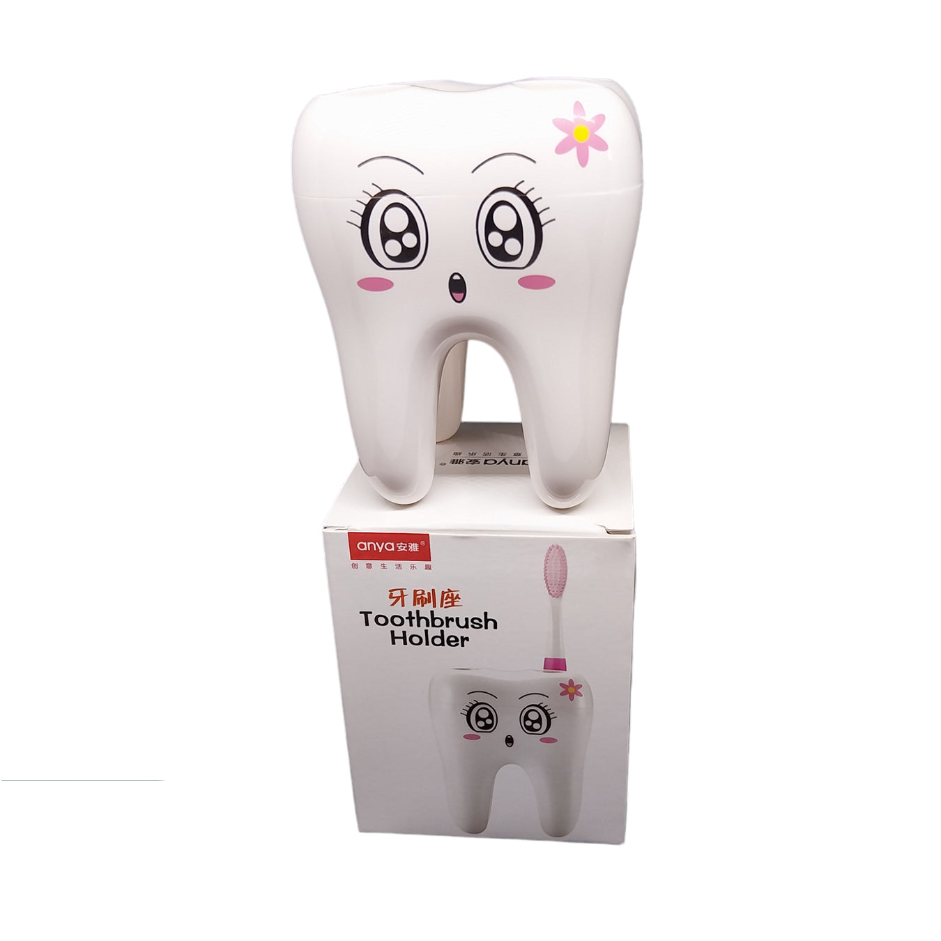 Toothbrush Holder